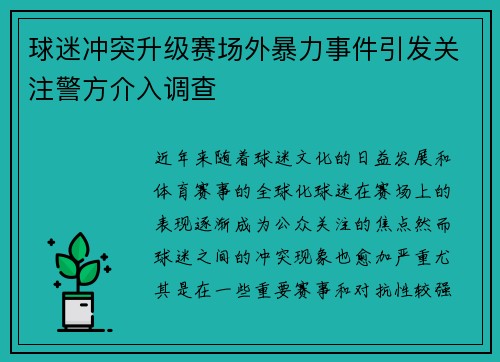球迷冲突升级赛场外暴力事件引发关注警方介入调查